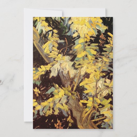 Blossoming Acacia Branches door Vincent van Gogh (Voorkant)