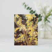 Blossoming Acacia Branches door Vincent van Gogh Briefkaart (Staand voorkant)