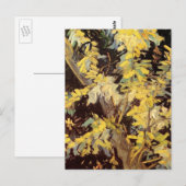 Blossoming Acacia Branches door Vincent van Gogh Briefkaart (Voorkant / Achterkant)