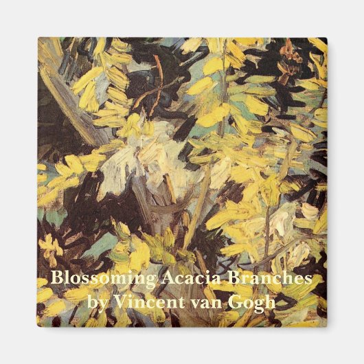 Blossoming Acacia Branches door Vincent van Gogh Magneet (Voorkant)