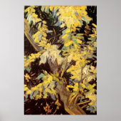 Blossoming Acacia Branches door Vincent van Gogh Poster (Voorkant)
