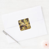 Blossoming Acacia Branches door Vincent van Gogh Vierkante Sticker (Envelop)