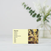 Blossoming Acacia Branches door Vincent van Gogh Visitekaartje (Staand voorkant)