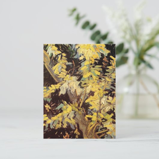 Blossoming Acacia Branches Vincent van Gogh. Briefkaart (Staand voorkant)