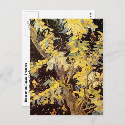 Blossoming Acacia Branches Vincent van Gogh. Briefkaart (Voorkant / Achterkant)