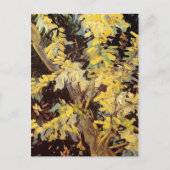 Blossoming Acacia Branches Vincent van Gogh. Briefkaart (Voorkant)