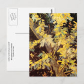 Blossoming Acacia Branches, Vincent van Gogh Briefkaart (Voorkant / Achterkant)