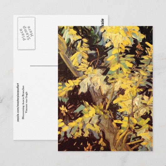 Blossoming Acacia Branches, Vincent van Gogh Briefkaart (Voorkant / Achterkant)