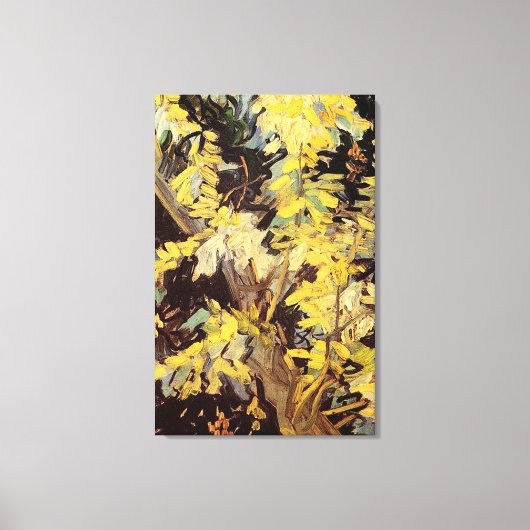 Blossoming Acacia Branches Vincent van Gogh. Canvas Afdruk (Voorkant)
