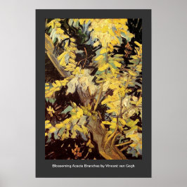 Blossoming Acacia Branches Vincent van Gogh. Poster