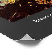 Blossoming Acacia Branches Vincent van Gogh. Poster (Hoek)