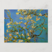 Blossoming Almond Tree door Vincent van Gogh Briefkaart (Voorkant)