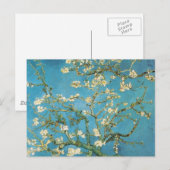 Blossoming Almond Tree Vincent van Gogh Briefkaart (Voorkant / Achterkant)