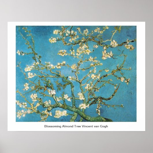 Blossoming Almond Tree Vincent van Gogh Poster (Voorkant)