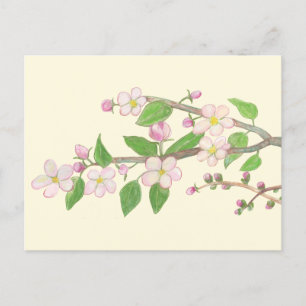 Blossoming Apple Tree Branch Briefkaart