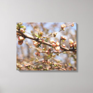 Blossoming Apple Tree Canvas Afdruk