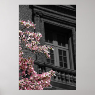 Blossoming Balcony Poster