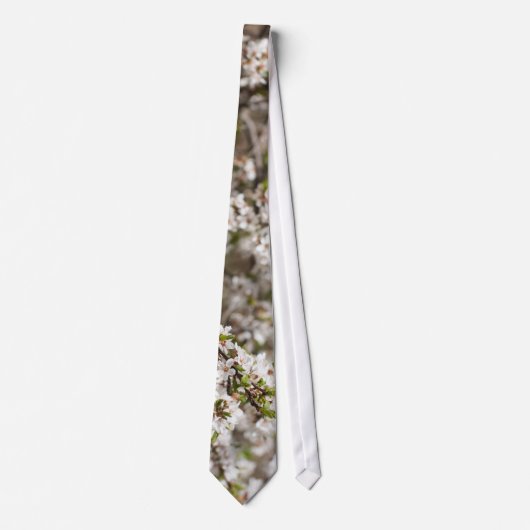 Blossoming van de kersenboom stropdas (Voorkant)