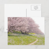 Blossoming Yoshino-kerriebomen in een gebied Briefkaart (Voorkant / Achterkant)