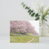 Blossoming Yoshino-kerriebomen in een gebied Briefkaart (Staand voorkant)