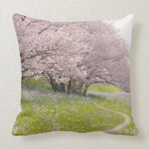 Blossoming Yoshino-kerriebomen in een gebied Kussen