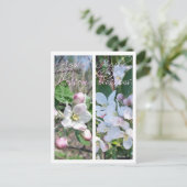 BLOSSOMS-BLADWIJZER TOEPASSEN BRIEFKAART (Staand voorkant)