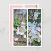 BLOSSOMS-BLADWIJZER TOEPASSEN BRIEFKAART (Voorkant / Achterkant)