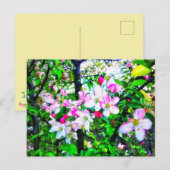 BLOSSOMS BRIEFKAART TOEPASSEN (Voorkant / Achterkant)