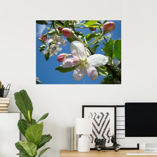 BLOSSOMS SPRING Flowers Art Prints Posters TOEPASS (Thuiskantoor)