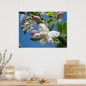 BLOSSOMS SPRING Flowers Art Prints Posters TOEPASS (Keuken)