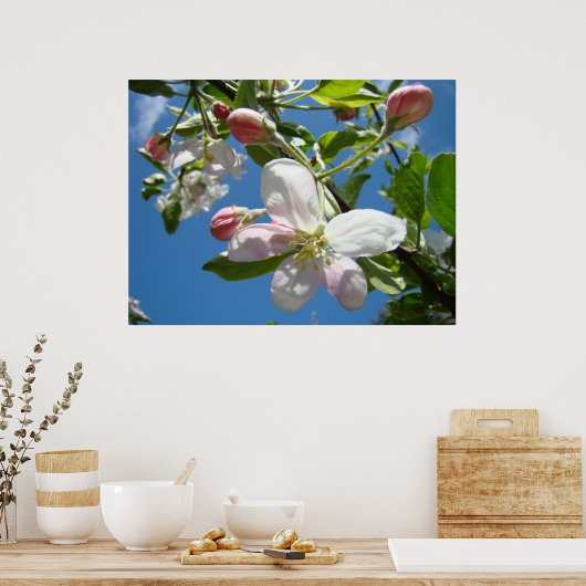 BLOSSOMS SPRING Flowers Art Prints Posters TOEPASS (Keuken)