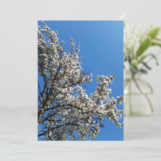 Blossomt Apple Tree Spring Photo Blank Kaart (Staand voorkant)