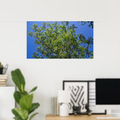 Blossomt China Berry Tree Poster (Thuiskantoor)