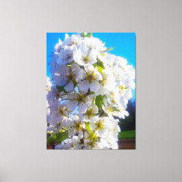 Blossomtak van een peren canvas afdruk