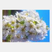 Blossomtak van een peren inpakpapier vel (Voorkant 2)