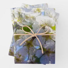 Blossomtak van een peren inpakpapier vel