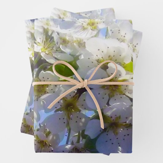 Blossomtak van een peren inpakpapier vel (In situ)