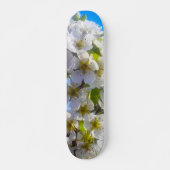 Blossomtak van een peren persoonlijk skateboard (Voorkant)