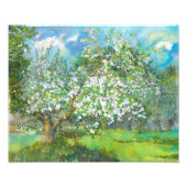 Blossomtuin Foto Afdruk (Voorkant)