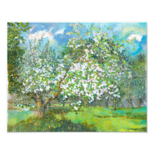 Blossomtuin Foto Afdruk