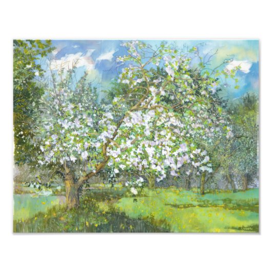 Blossomtuin Foto Afdruk (Voorkant)