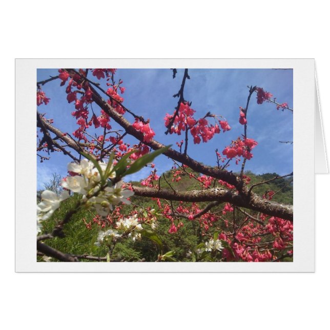 Blosyakaart (Voorkant Horizontaal)