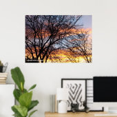 Blote bomen bij zonsondergang poster (Thuiskantoor)
