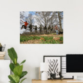 Blount Cultural Park Jumping Status Poster (Thuiskantoor)