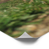 Blount Cultural Park Jumping Status Poster (Hoek)