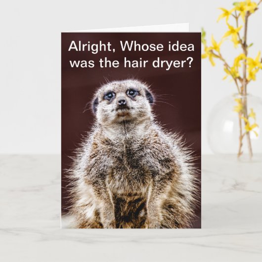 Blowdry meerkat kaart (Gele Bloem)