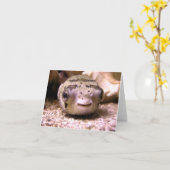 Blowfish Pufferfish van Helaine Kaart (Gele Bloem)