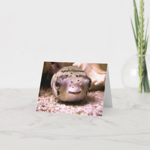 Blowfish Pufferfish van Helaine Kaart