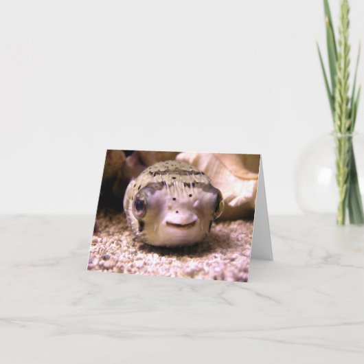 Blowfish Pufferfish van Helaine Kaart (Voorkant)