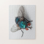 Blowfly Blue Ftle Fly Close-up Bug Photo Puzzle Legpuzzel (Verticaal)